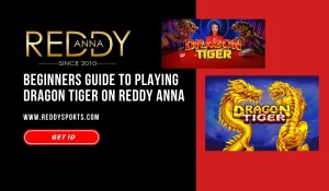 Beginners Guide to Playing Dragon Tiger on Reddy Anna