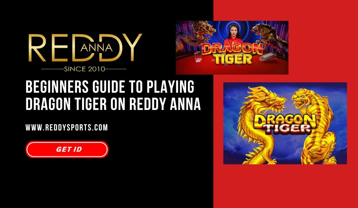 You are currently viewing Beginners Guide to Playing Dragon Tiger on Reddy Anna